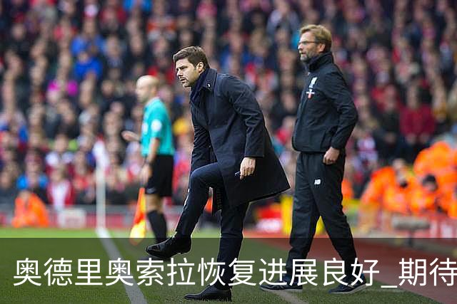 奥德里奥索拉恢复进展良好 期待迅速回归皇家社会合练